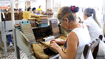 Fábrica de tabaco 