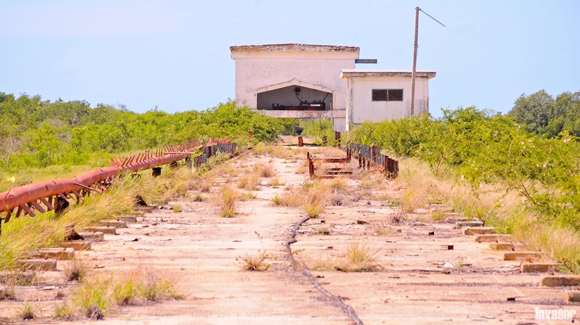 Puerto, dejadez, plantas