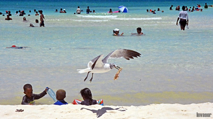 Jardines del Rey
