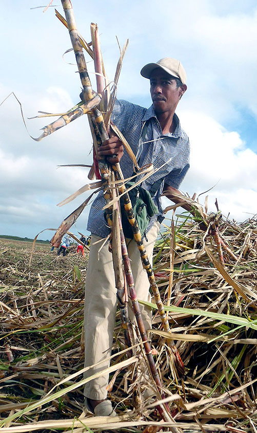 Hombre con caña