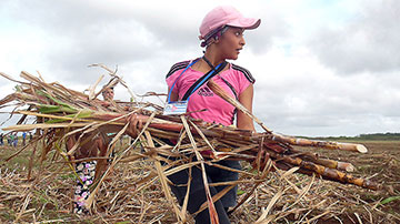 Muchacha con estiba de caña