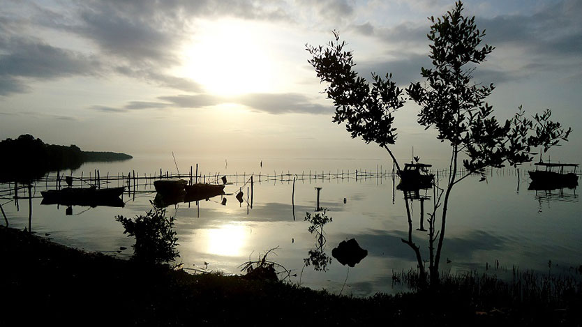 Amanecer