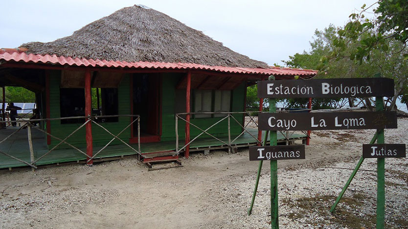 Casa