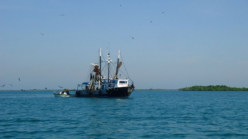 barco