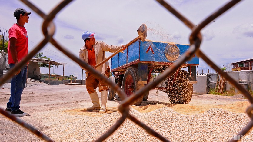 Hombre, rejilla, materiales para la construcción