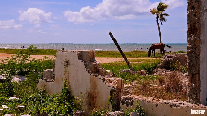 Caballo. ruinas, playa