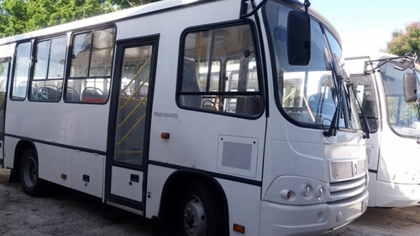 Ómnibus marca Paz