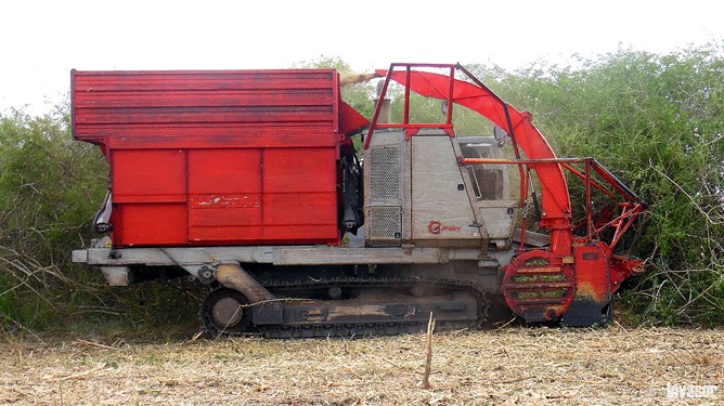 Máquina de cortar marabú