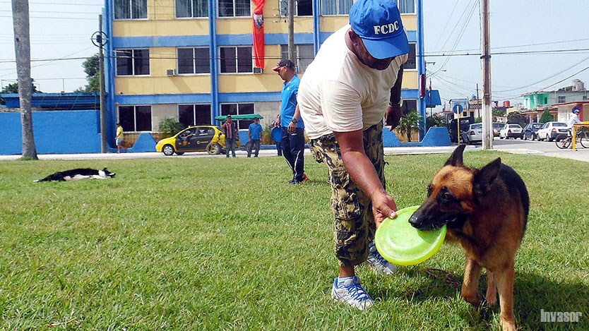 Hombre con su perro