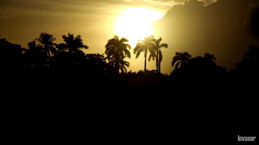 Palmas