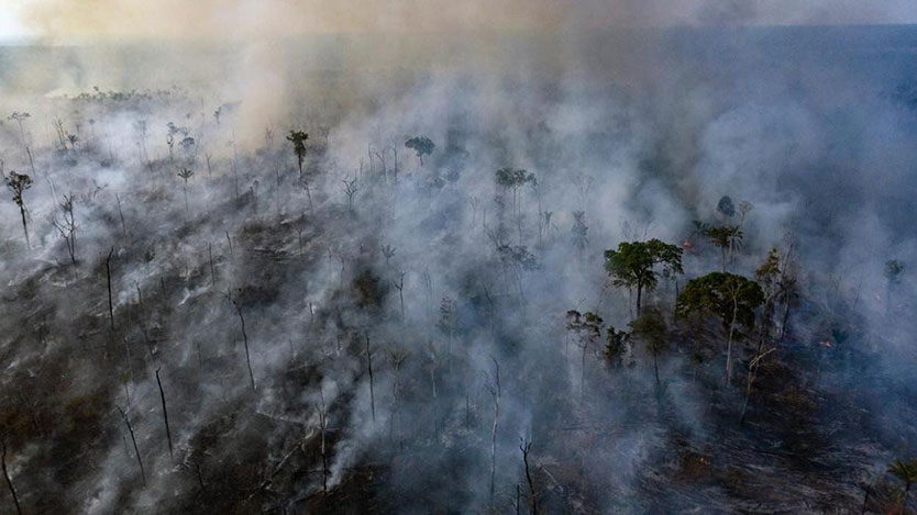 Amazonia 