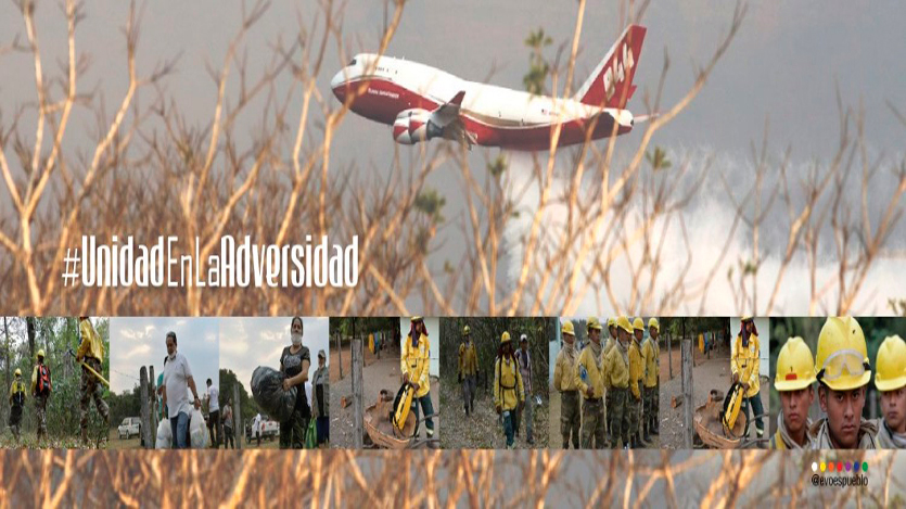 Cartel, incendios
