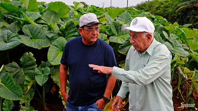 Machado Ventura y Valentín Delgado Cortijo