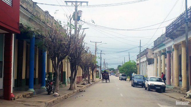 Tala de árboles