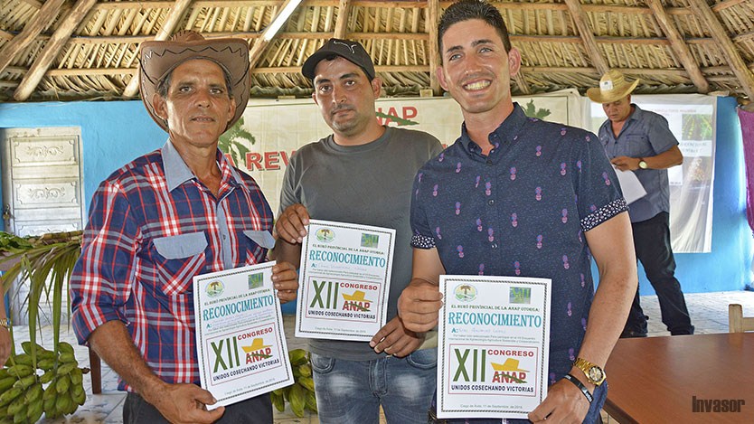 Tres avileños