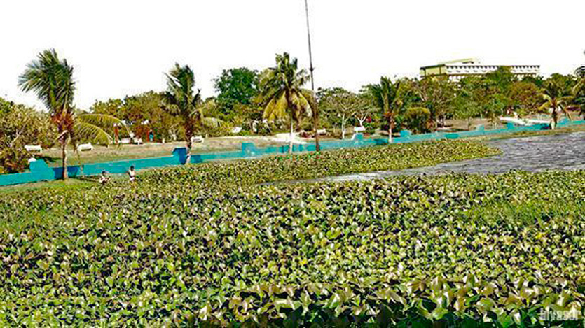Foto: Nohema Díaz Muñoz Parque de la ciudad