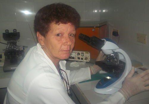Deysi