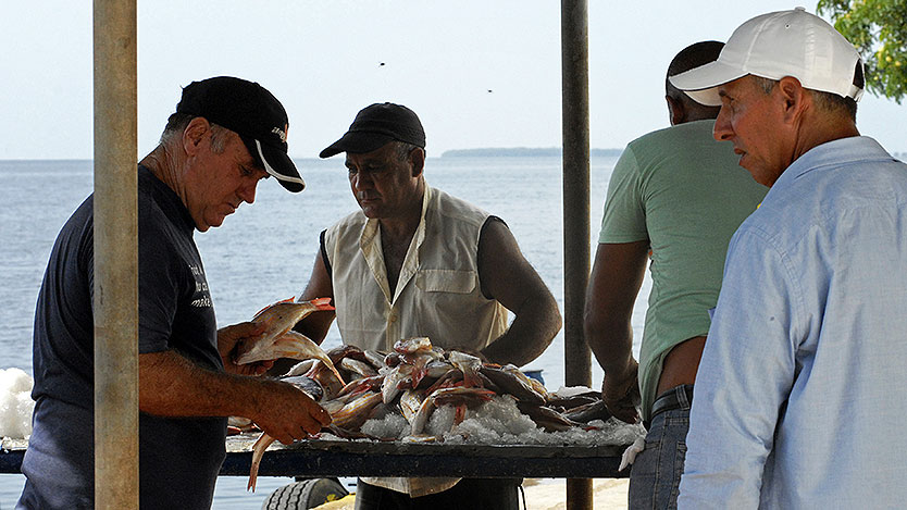 pescadores 