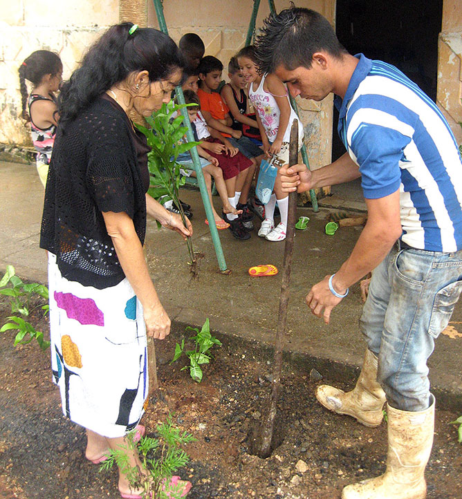 Siembra de plantas