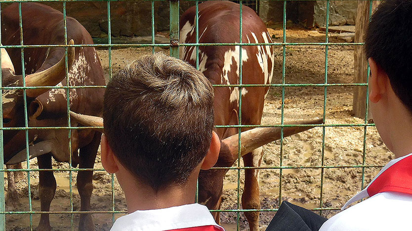 Niños en el zoológico