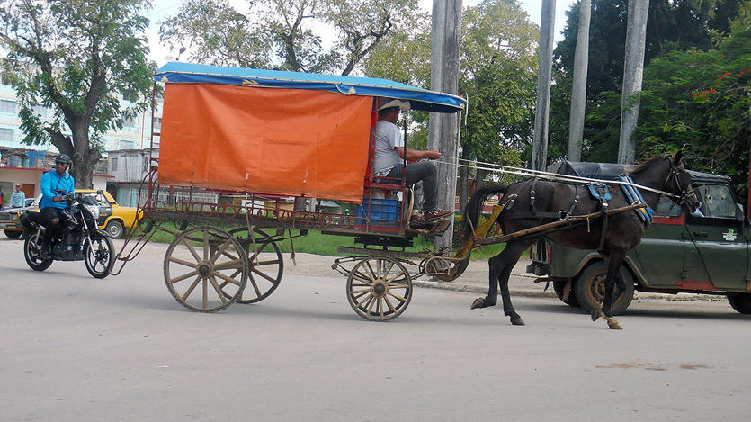 Cochero
