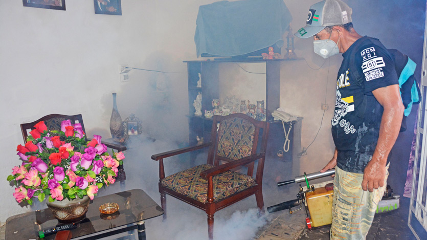 Fumigación
