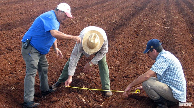 Especialistas midiendo tierra