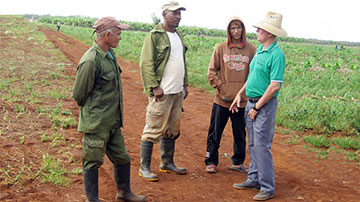Trabajadores en el campo