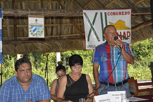 asamblea anap