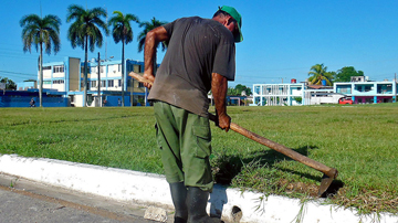 Obrero guataqueando área verde