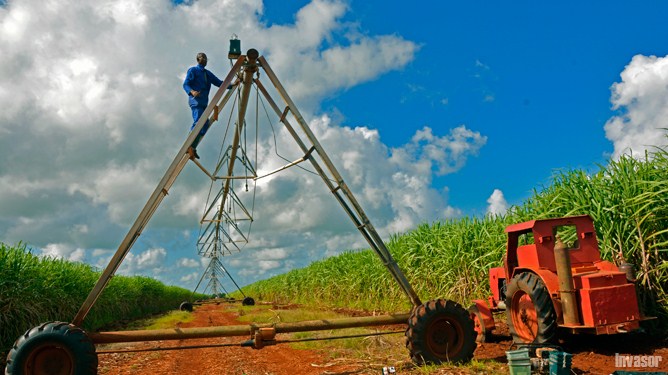 Hombre, tractor