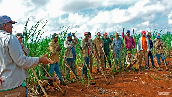 Hombres, campo