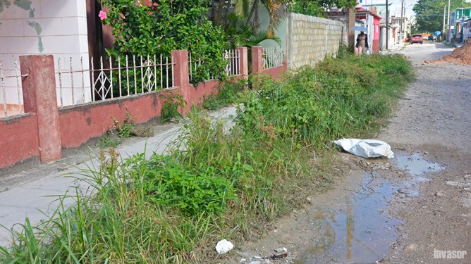 Calle, basura