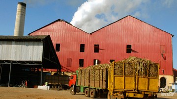 Zafra, Primero de Enero