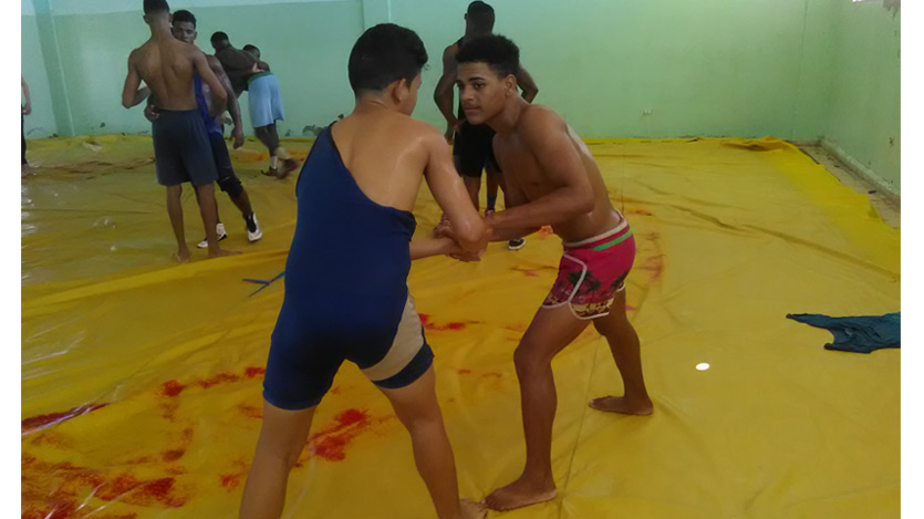 Luchadores
