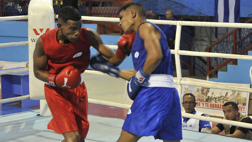 boxeadores
