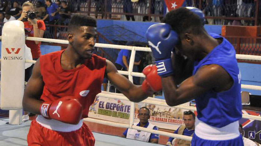 boxeadores