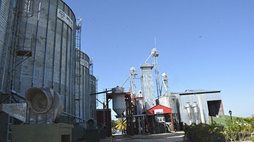 Secadero de arroz