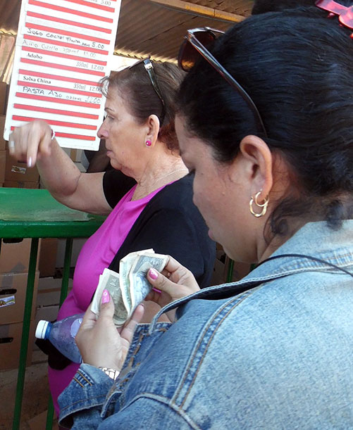 mujer contando dinero