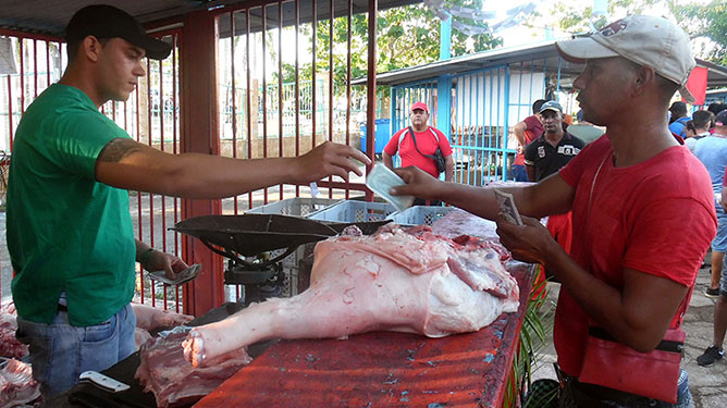 venta de cerdo