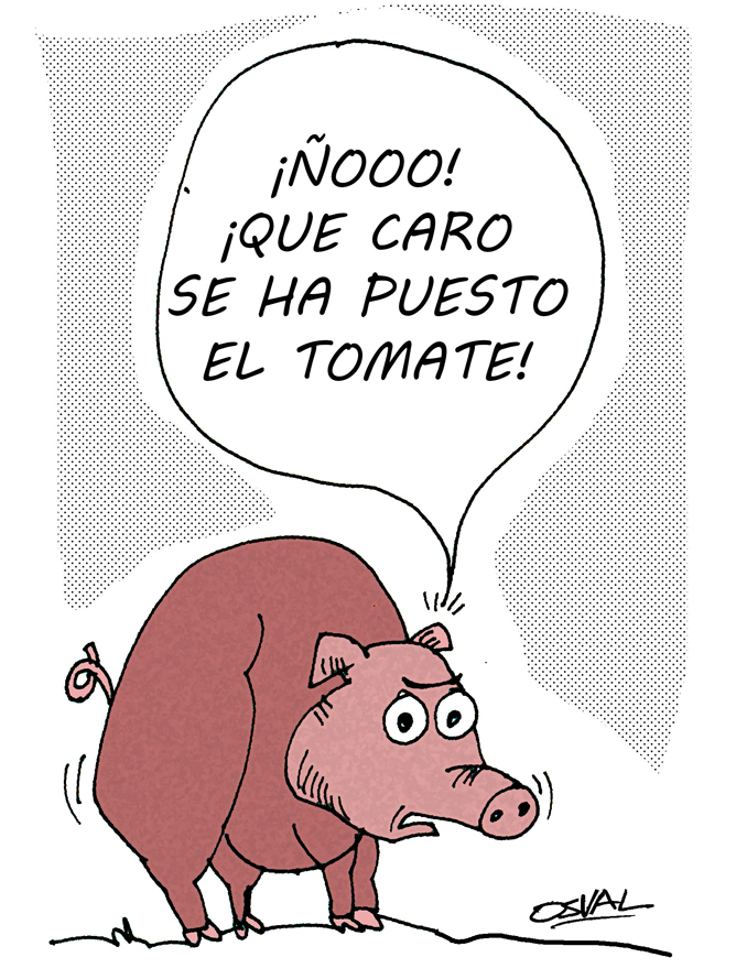 Caricatura