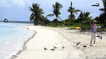 Playa
