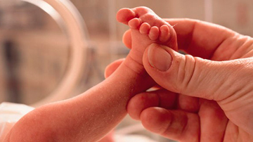 Reproducción asistida