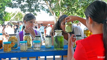 Feria expo, Ciencia