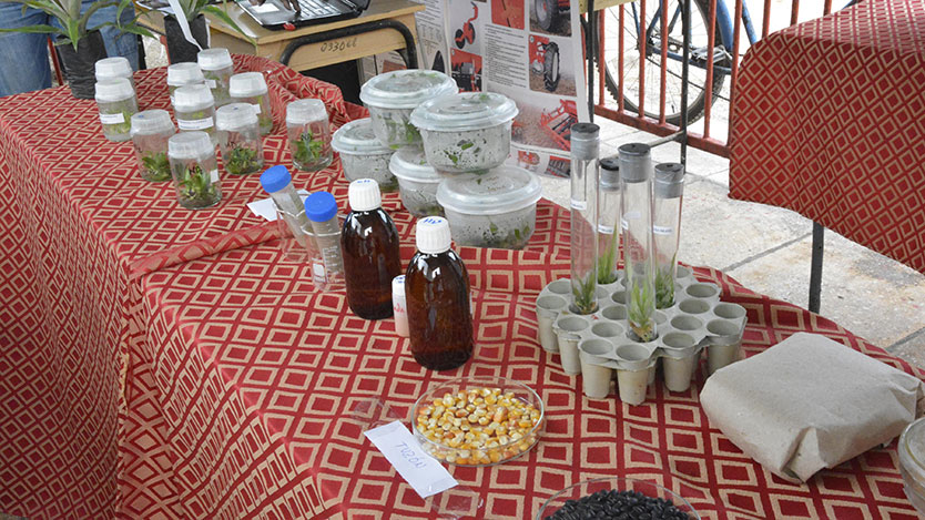 Expo Bioplantas