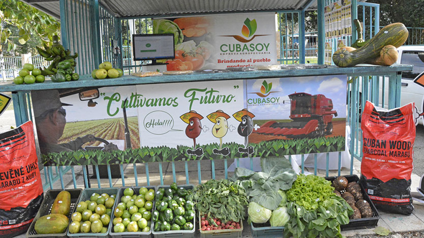 expo agricultura