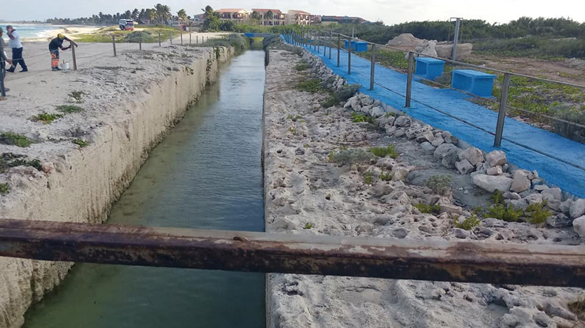 Agua oceánica