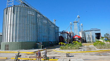 Secadero de arroz