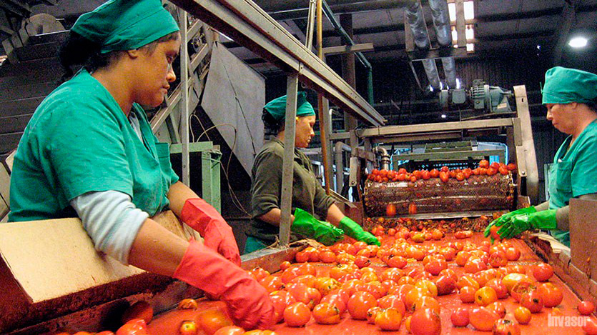 procesamiento industrial del tomate