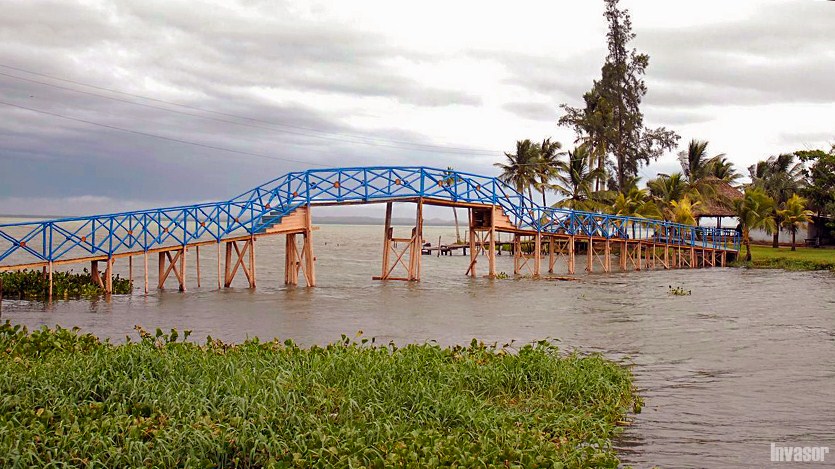 Disponibilidad de agua